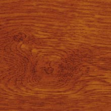 Golden Oak