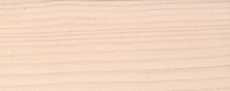 Kiefer weißschleier D 9010